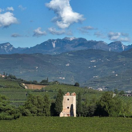 Agriturismo Monte Bisson 索阿韦 外观 照片