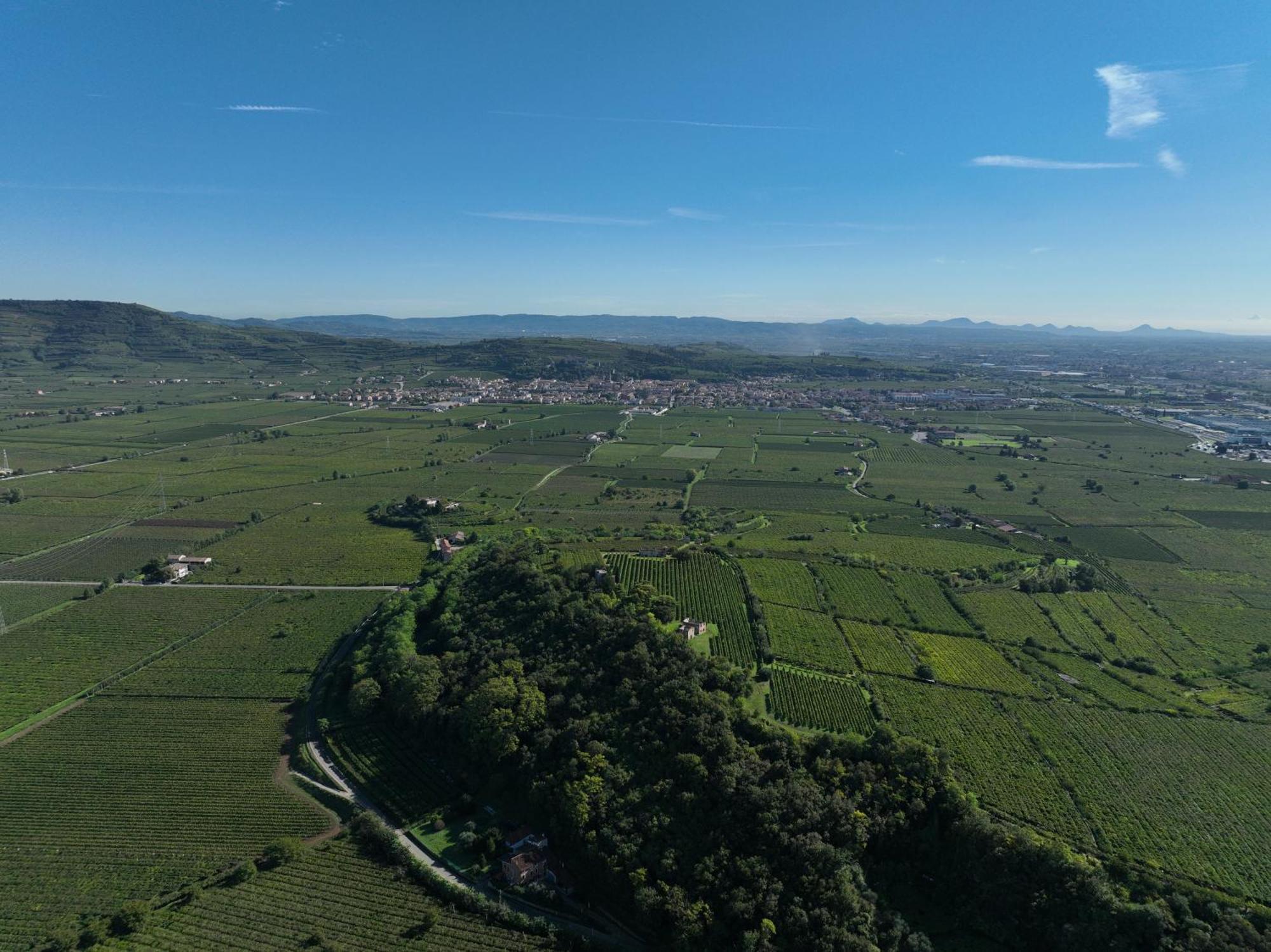 Agriturismo Monte Bisson 索阿韦 外观 照片