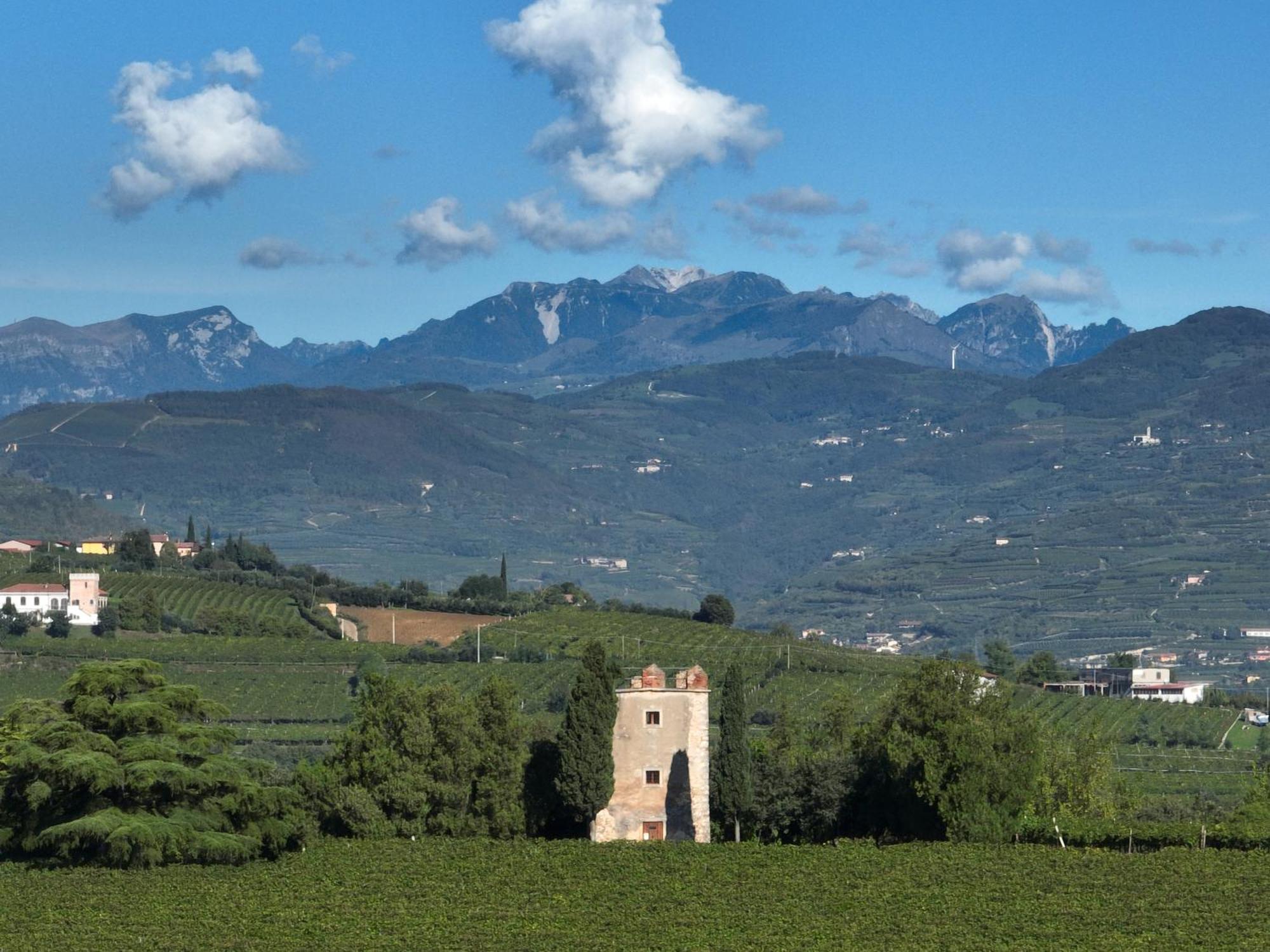 Agriturismo Monte Bisson 索阿韦 外观 照片